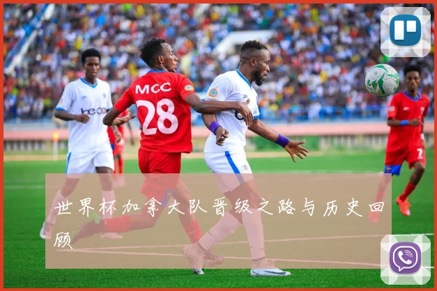 世界杯加拿大队晋级之路与历史回顾